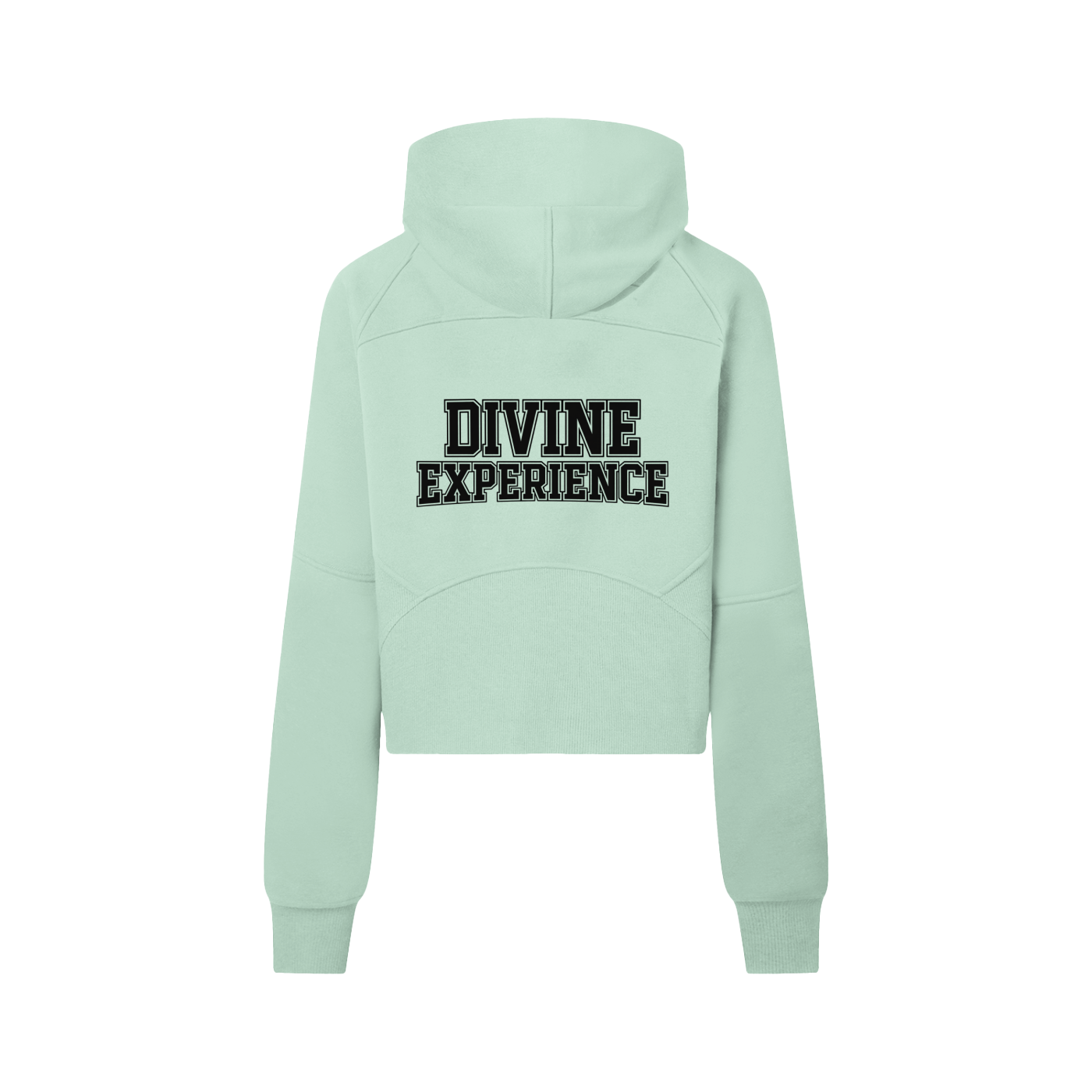 DIVINE EXPERIENCE Cropped Half-Zip Hoodie
