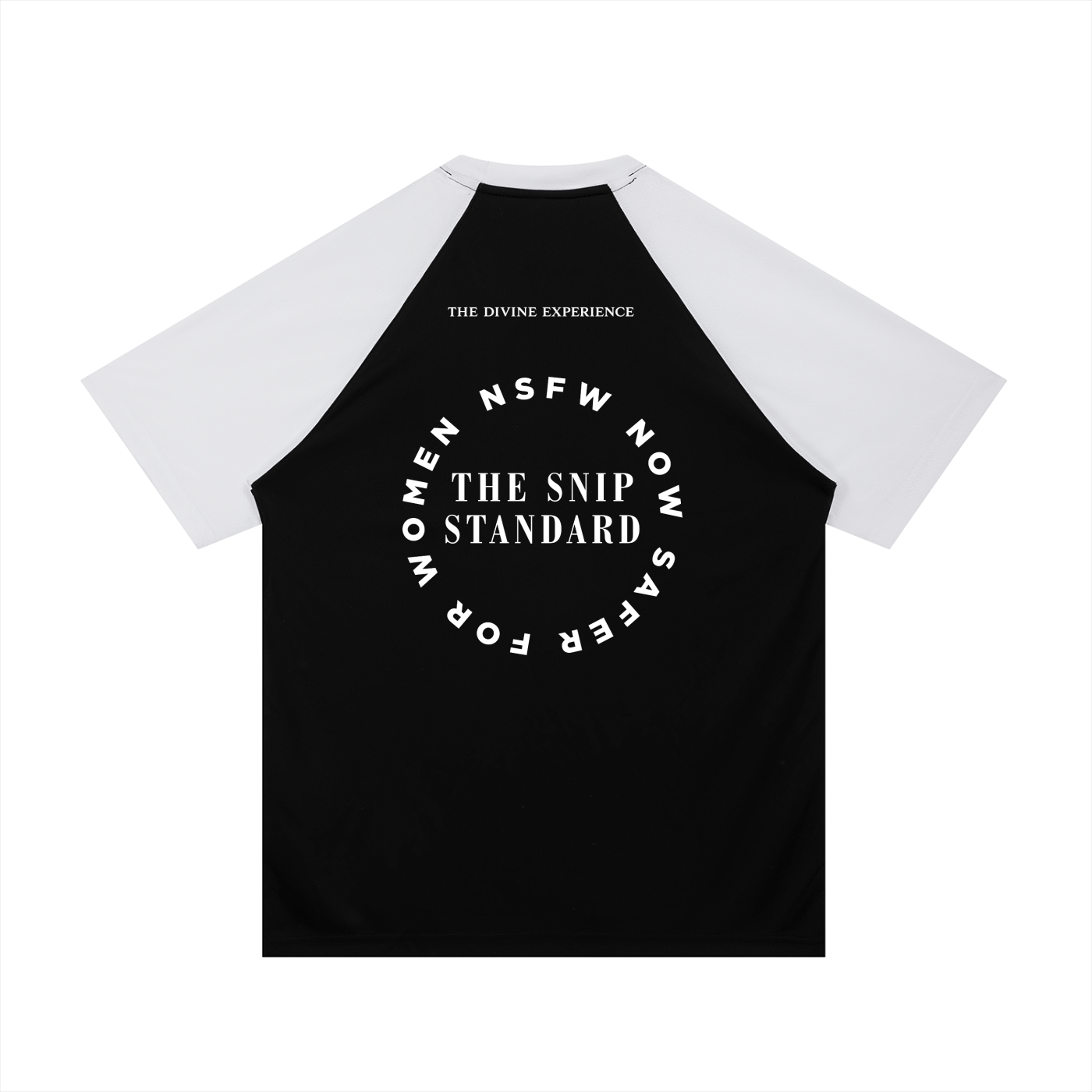 THE SNIP STANDARD