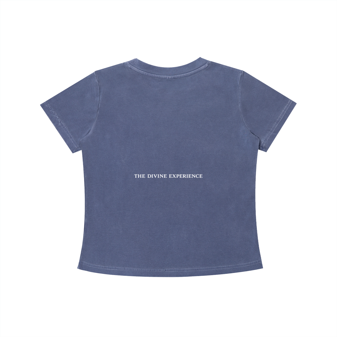 I PUT THE FAE IN FERAL Vintage Wash Slim Fit T-shirt