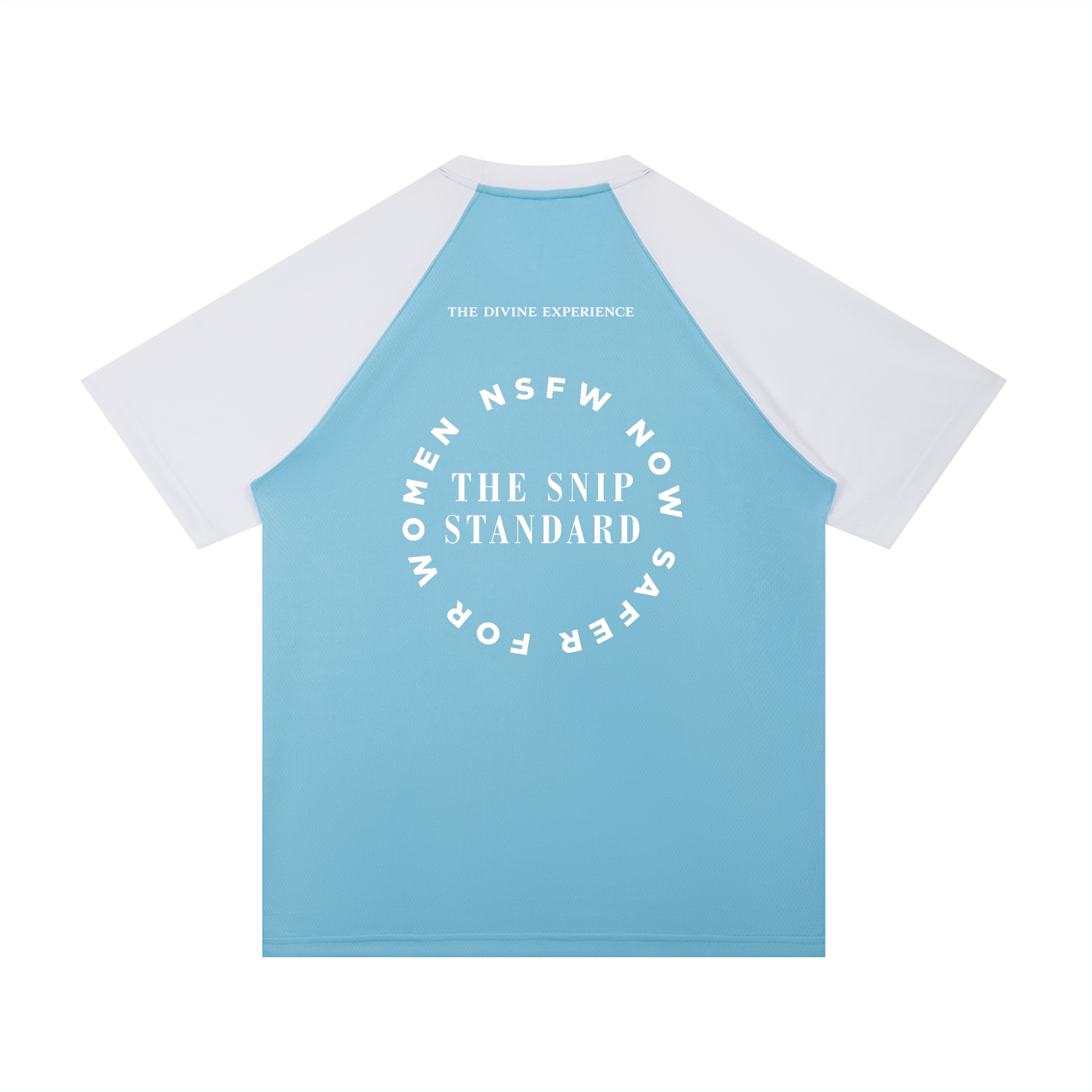 THE SNIP STANDARD