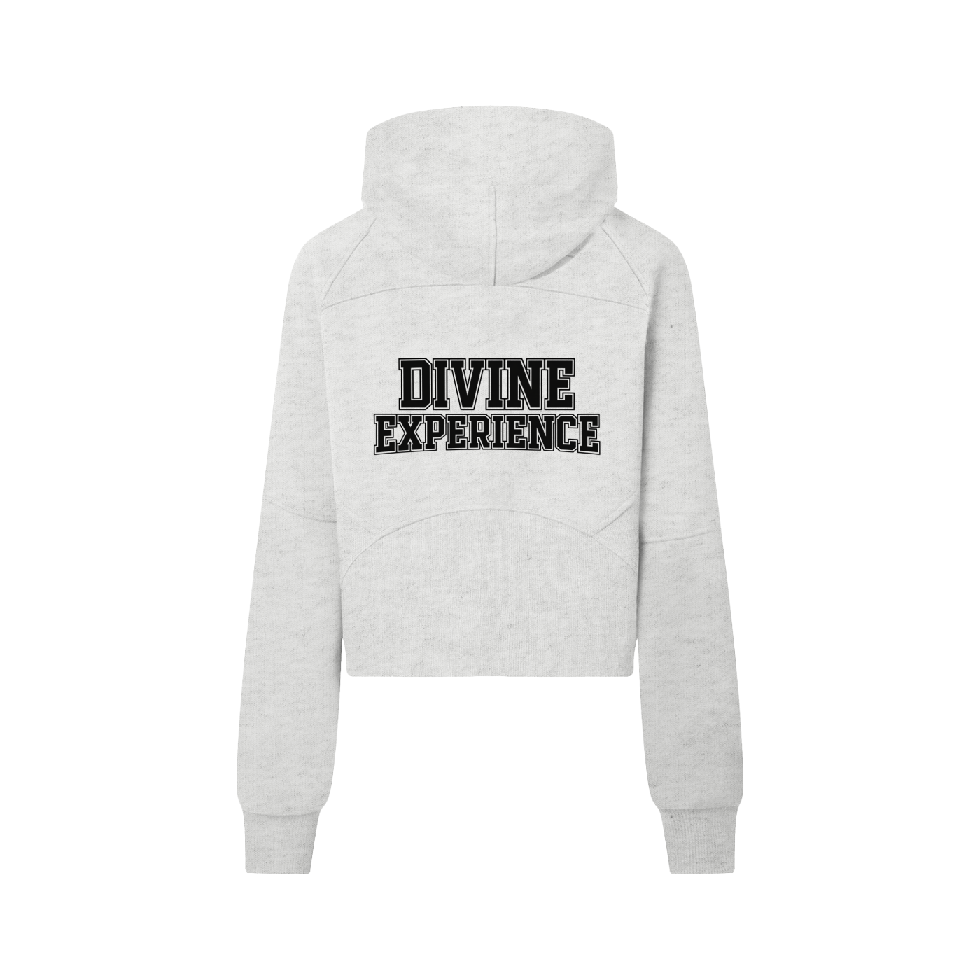 DIVINE EXPERIENCE Cropped Half-Zip Hoodie