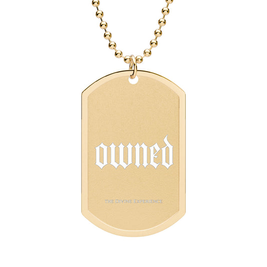 OWNED Gothic Dog Tag Necklace — Gold or Silver BDSM Chain