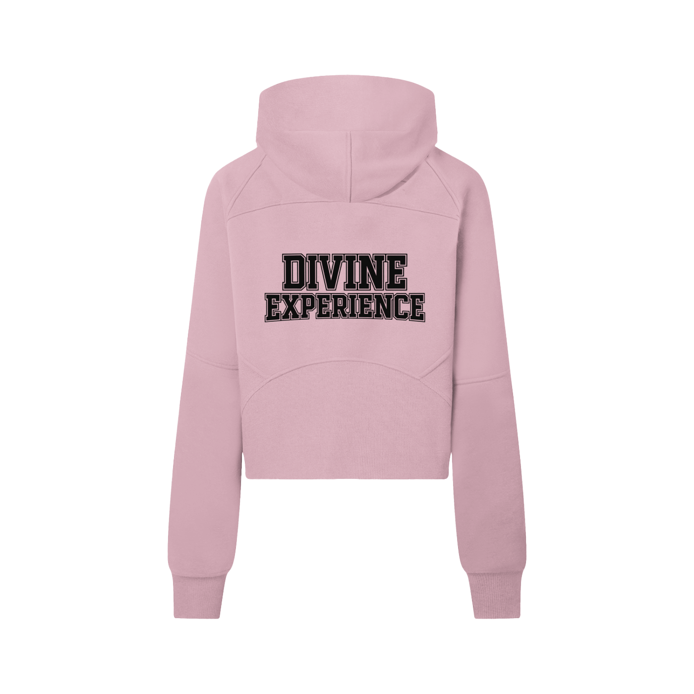 DIVINE EXPERIENCE Cropped Half-Zip Hoodie