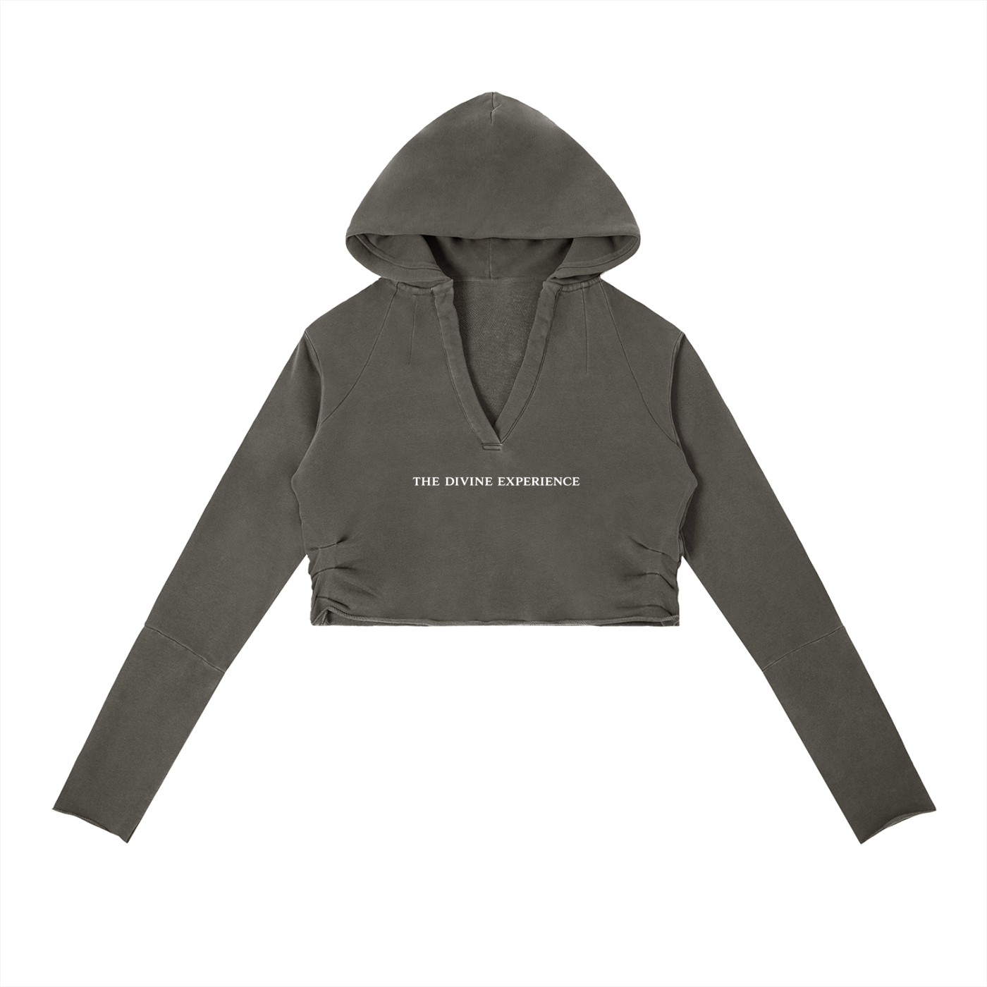 I PUT THE FAE IN FERAL Vintage Washed Raw Edge Hoodie