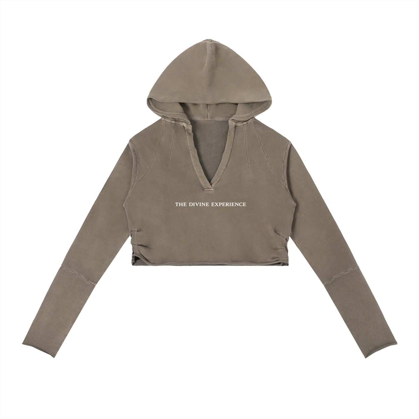 I PUT THE FAE IN FERAL Vintage Washed Raw Edge Hoodie
